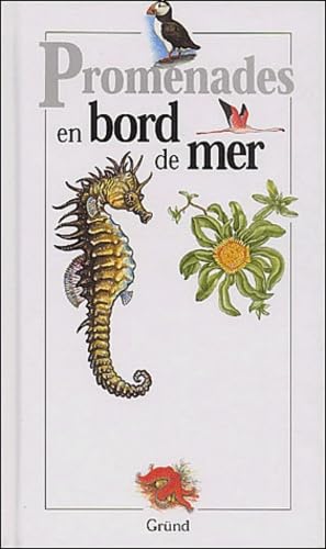 Promenades en bord de mer book