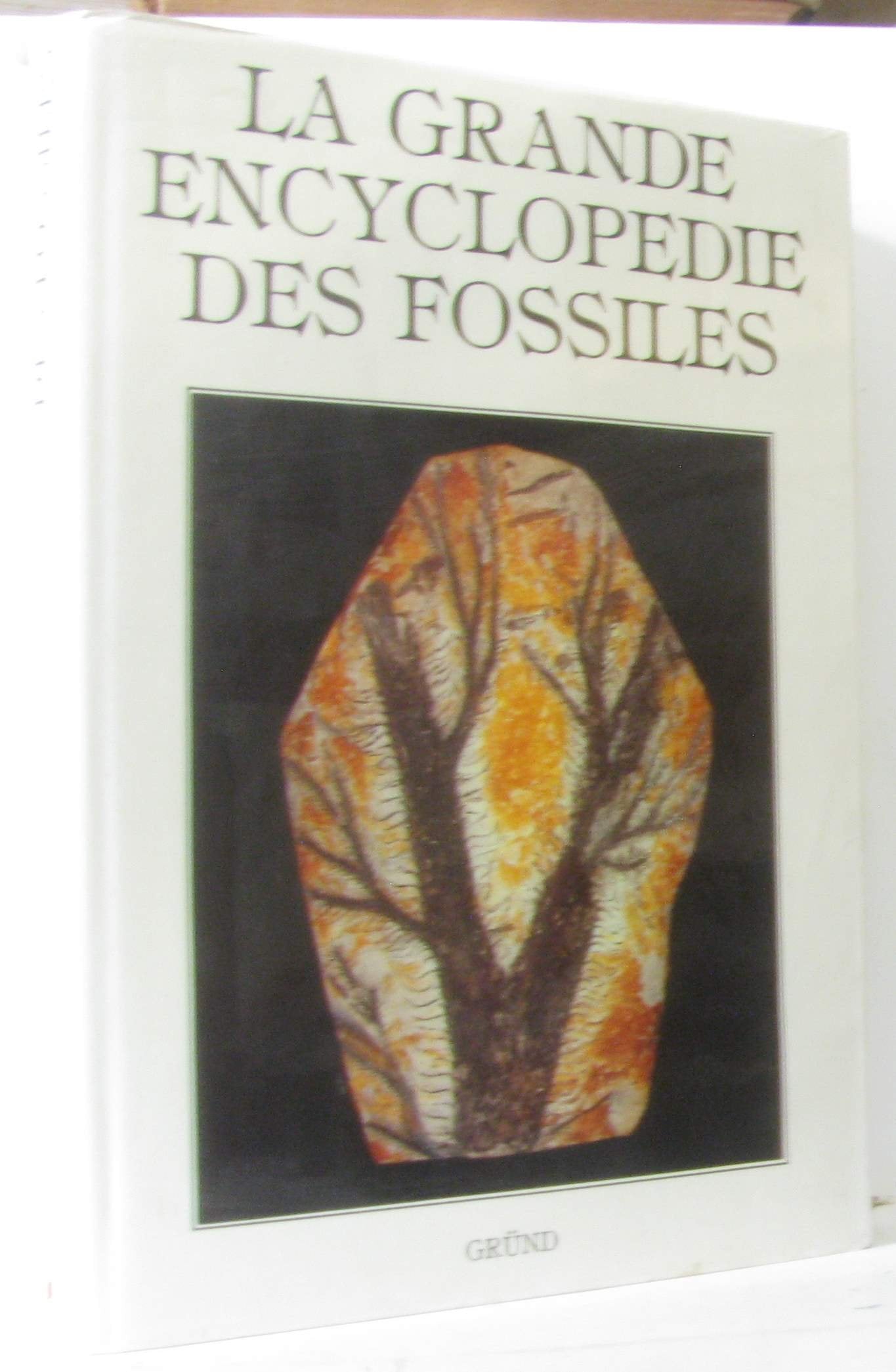 La Grande encyclopédie des fossiles Books