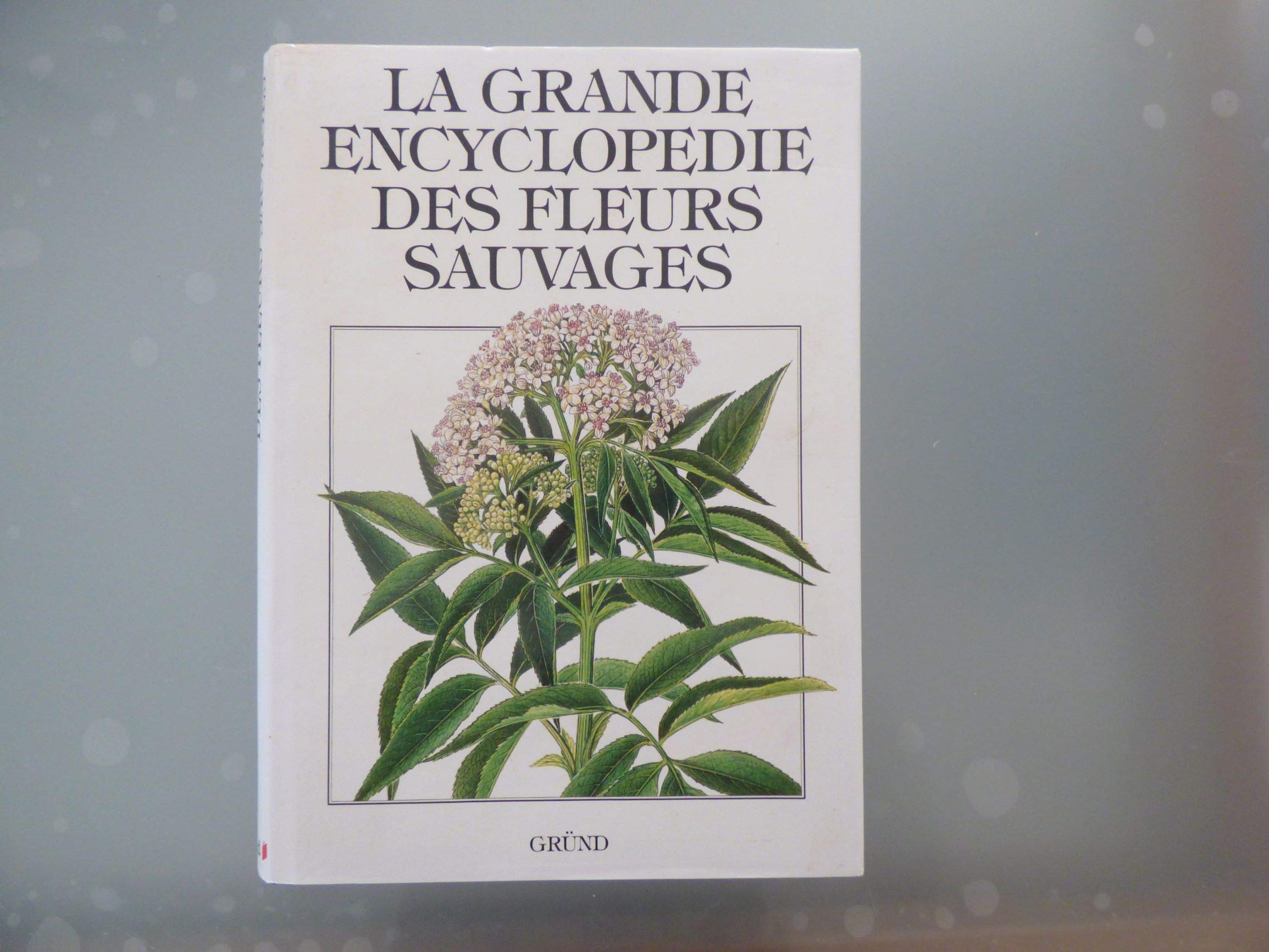 La Grande Encyclopédie des fleurs sauvages book