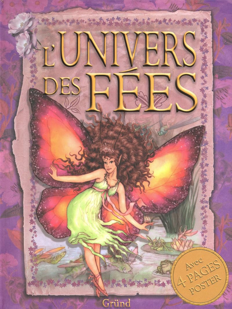 UNIVERS DES FEES book