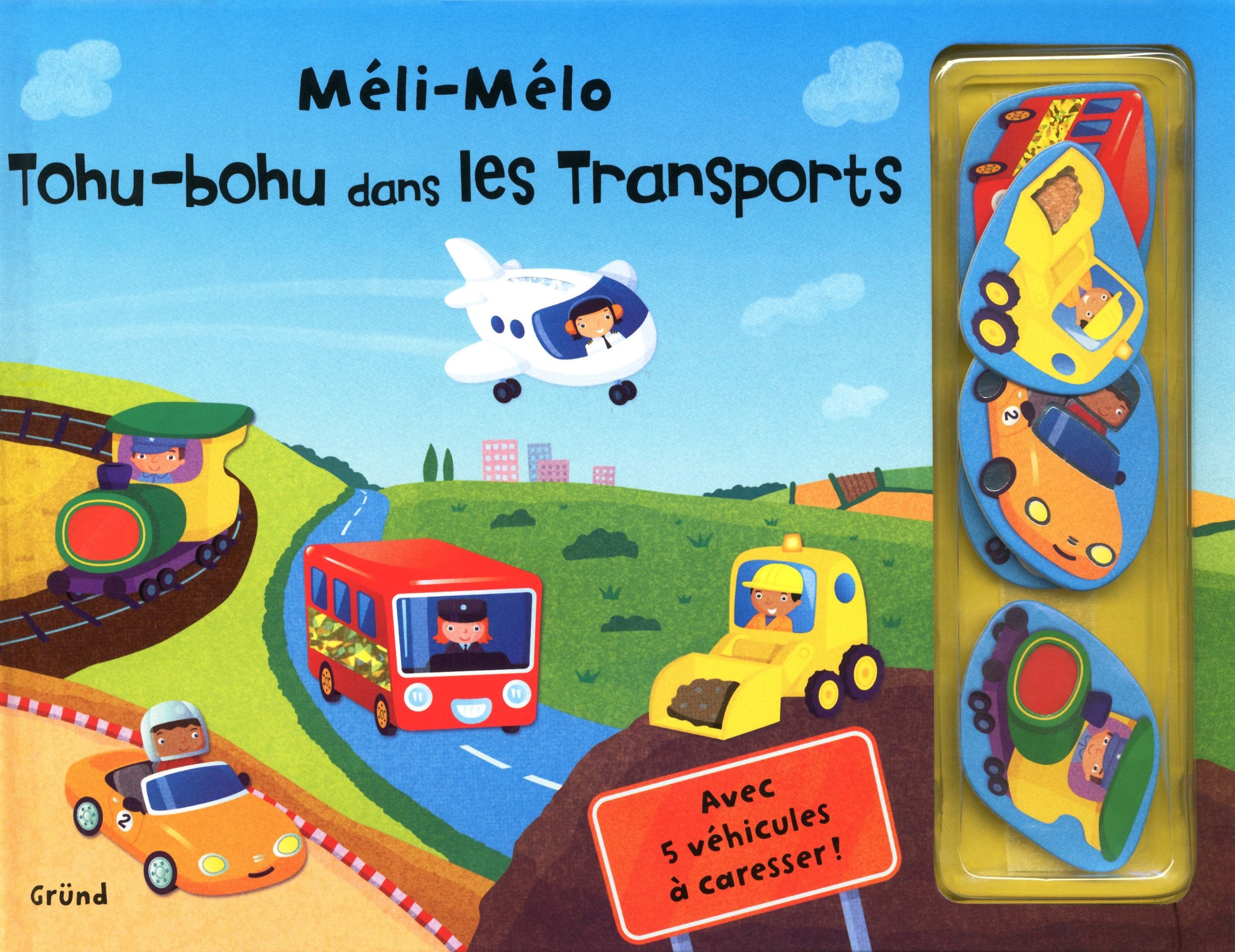 Tohu-bohu dans les transports book