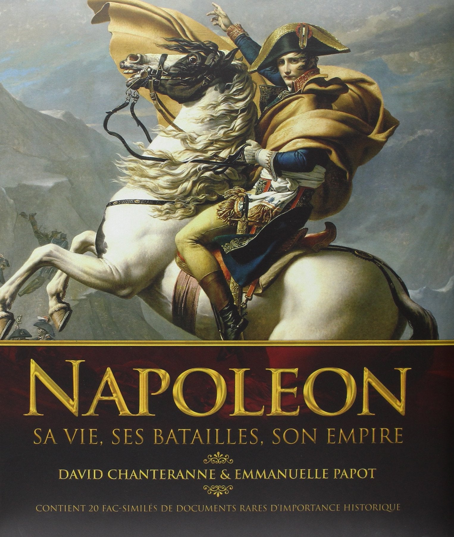 Napoléon: Sa vie, ses batailles, son empire book