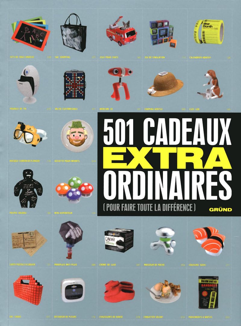 501 CADEAUX EXTRAORDINAIRES book