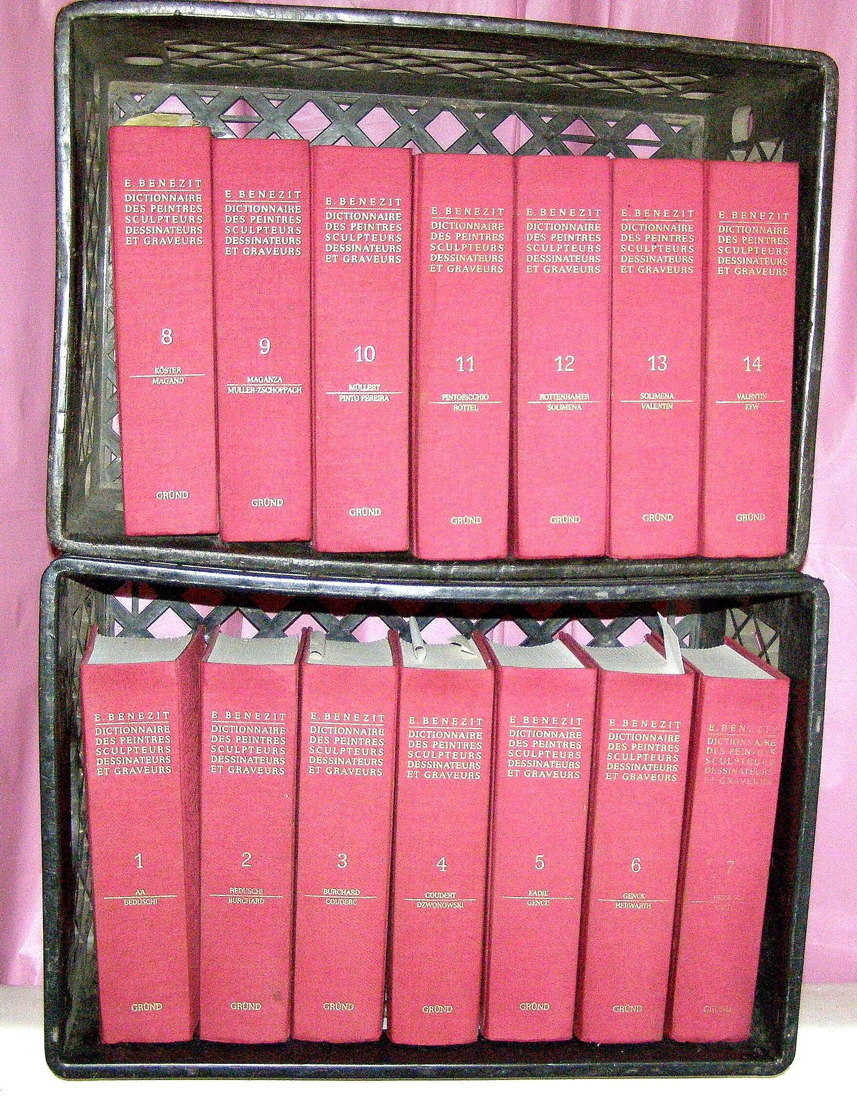 Bénézit : Dictionnaire des peintres, sculpteurs, dessinateurs et graveurs (Vendu en 14 volumes) book