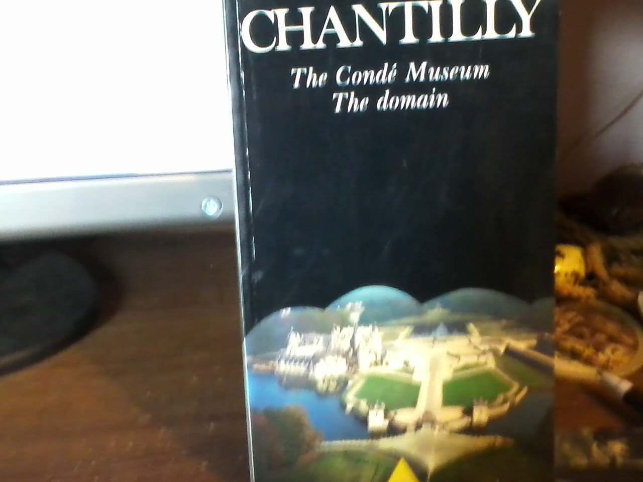 Chantilly : the Condé Museum and the Domain book
