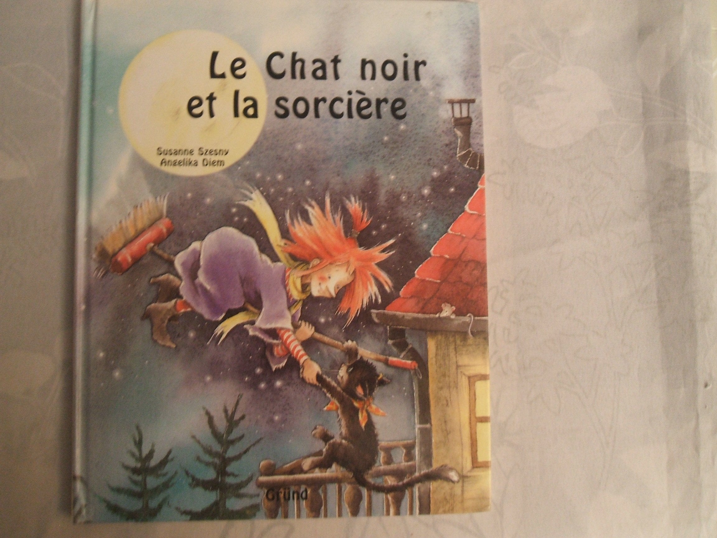 Le Chat Noir Et La Sorciere book