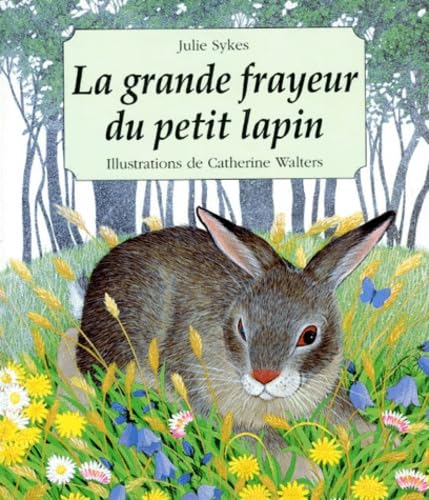 La grande frayeur du petit lapin book