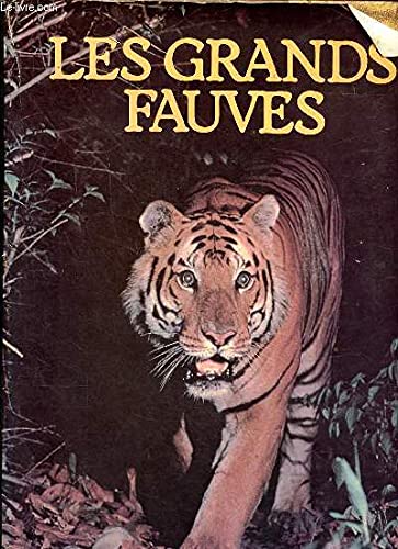 Les Grands fauves Film, Art & Culture