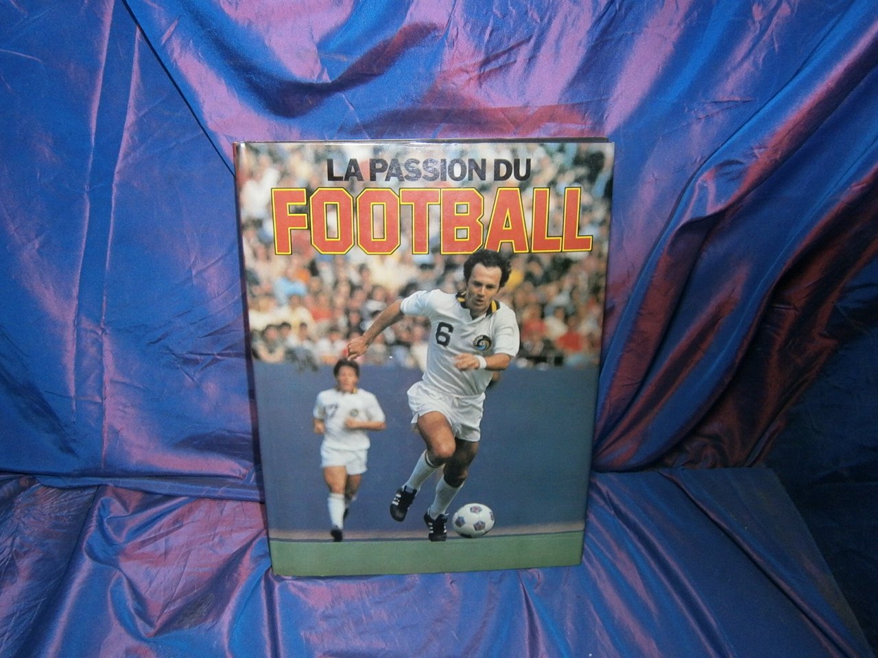 La Passion du football Leisure & Fun