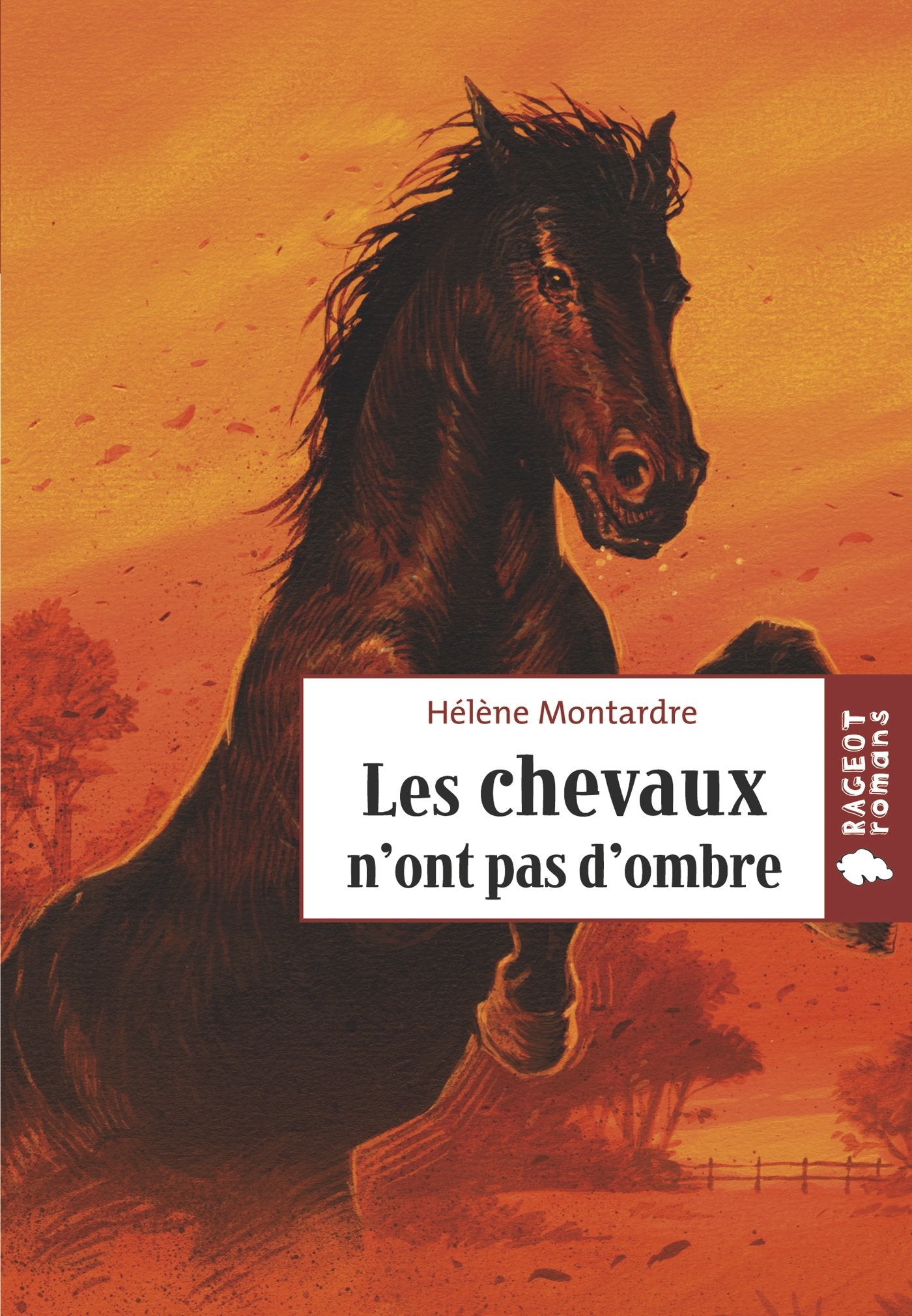 Les chevaux n'ont pas d'ombre book