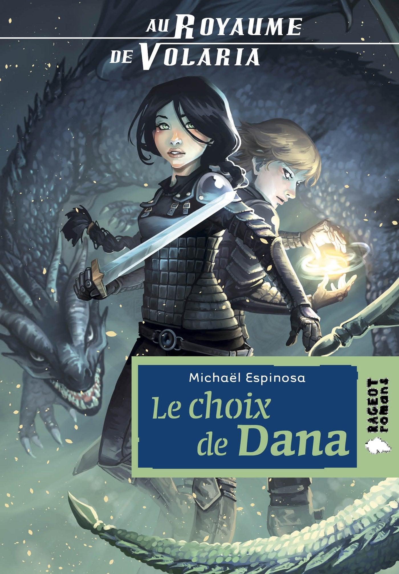 Au royaume de Volaria : Le choix de Dana book