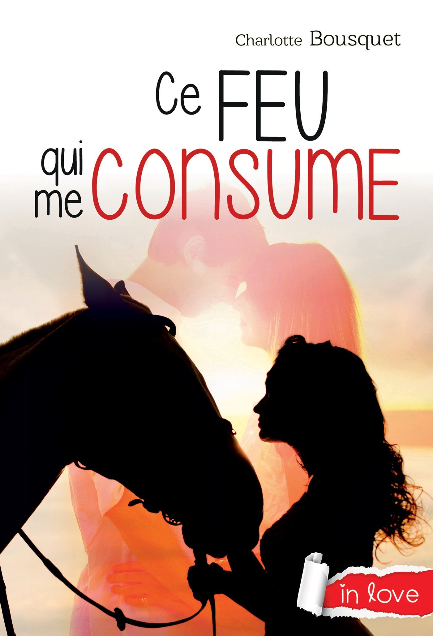 Ce feu qui me consume book