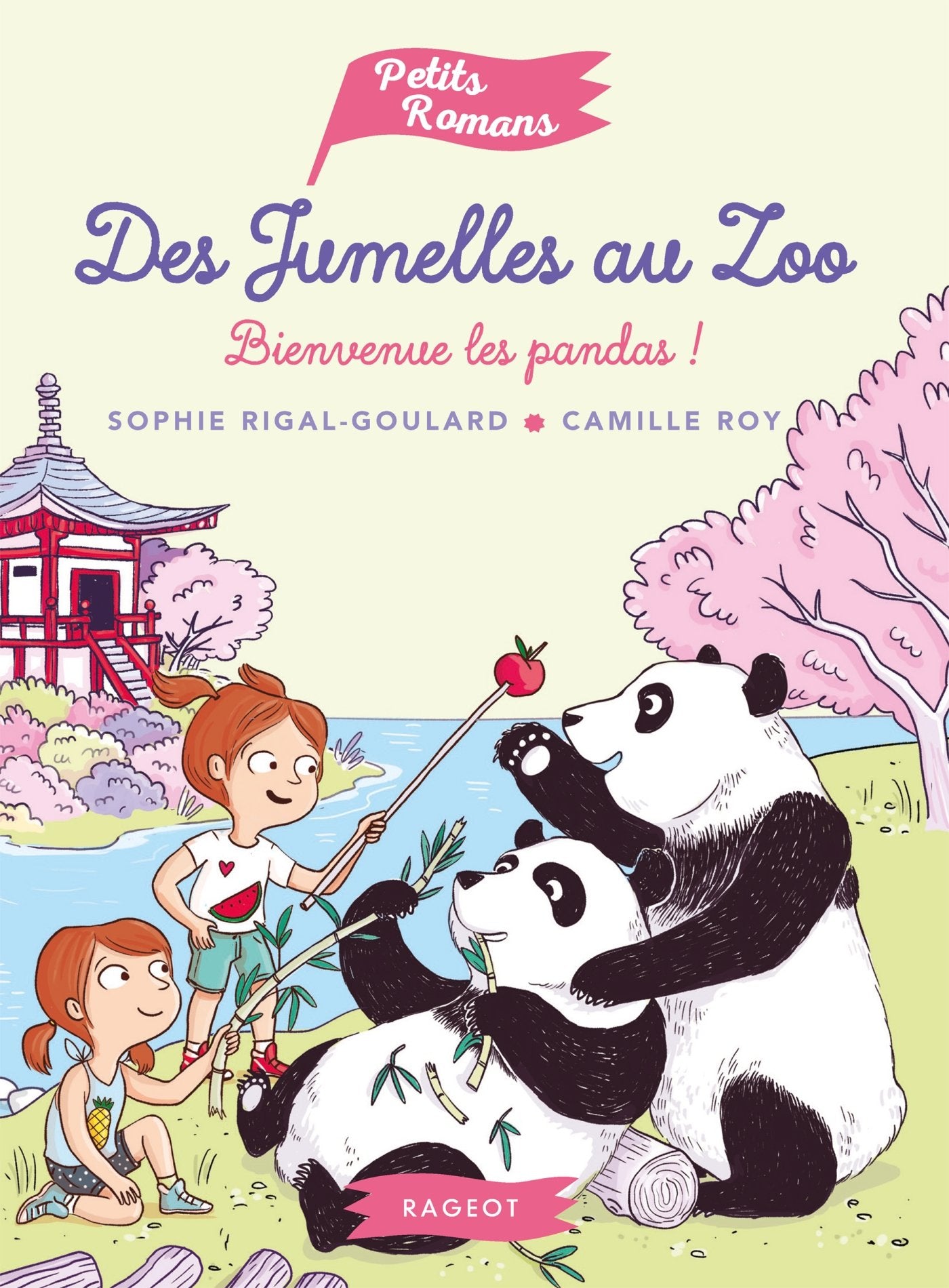 Allumeur de rêves book