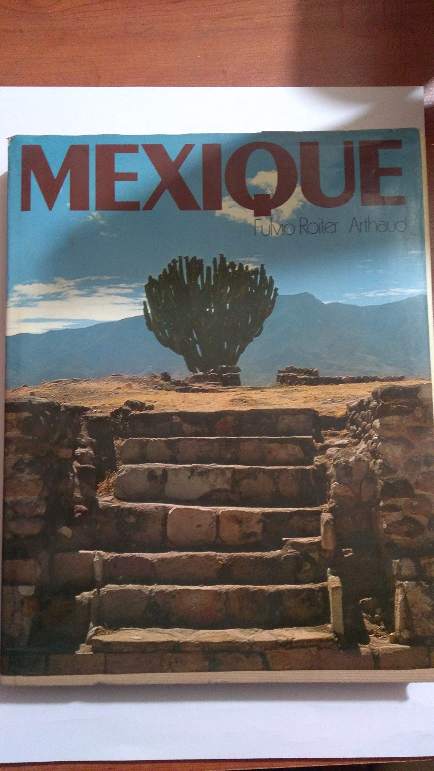 MEXIQUE 144 ILLUSTRATIONS EN COULEUR, DESSINS ET CARTES Leisure, Home & Garden