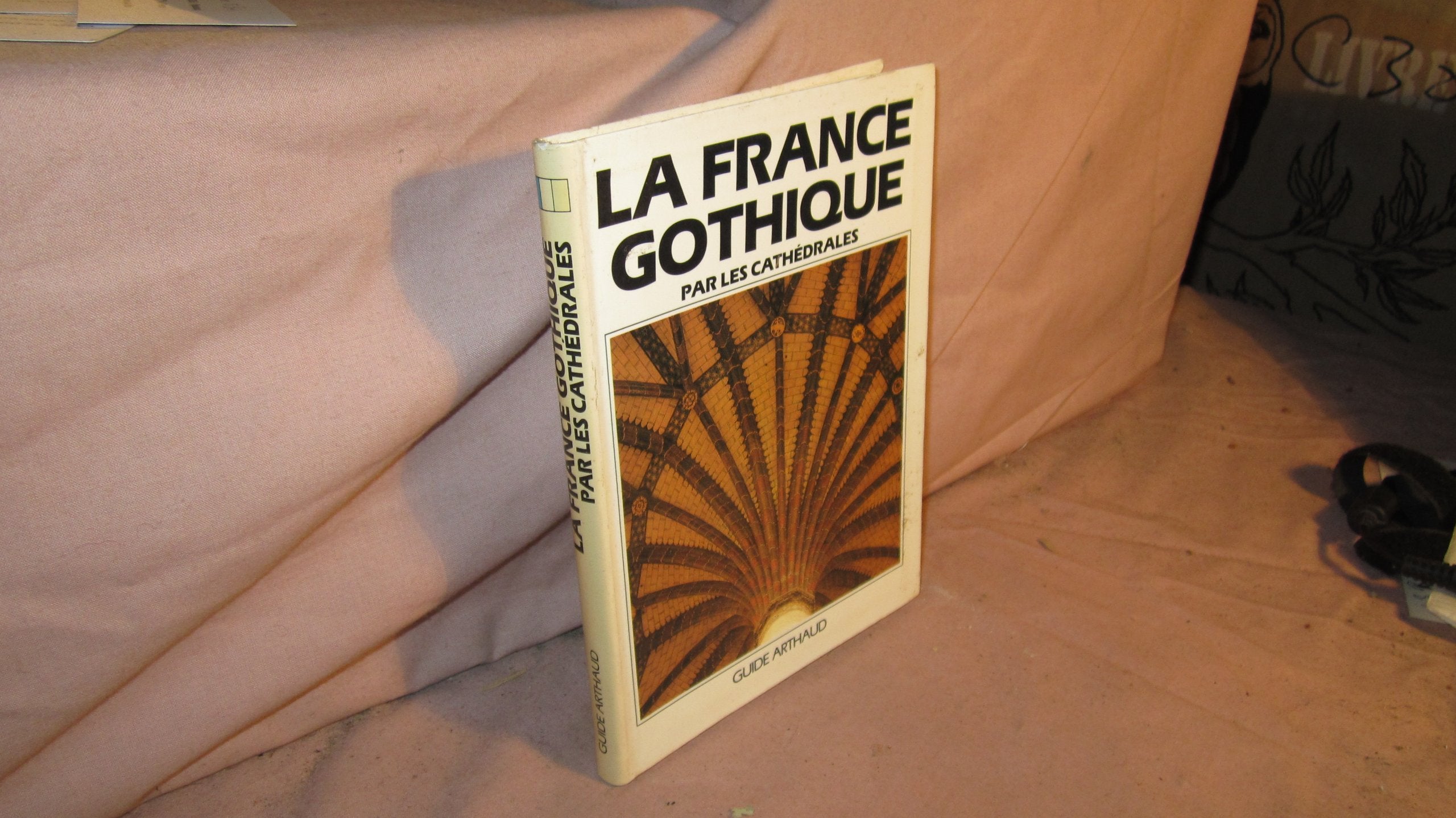 France gothique par les cathedrales (La): Par les cathédrales Leisure, Home & Garden