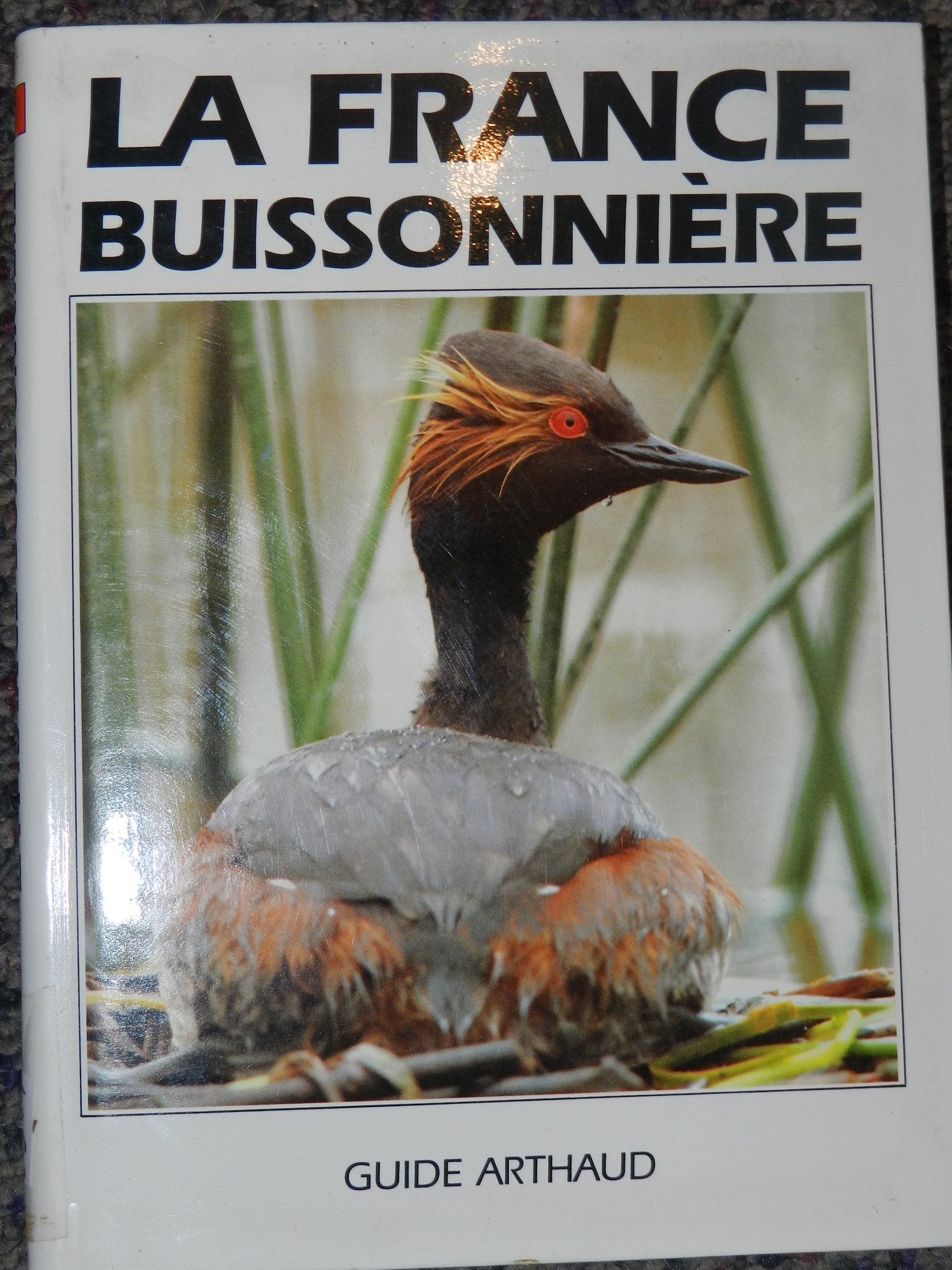 France buissonniere (La) book