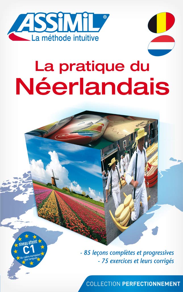 La pratique du néerlandais Foreign Languages ​​& Dictionaries