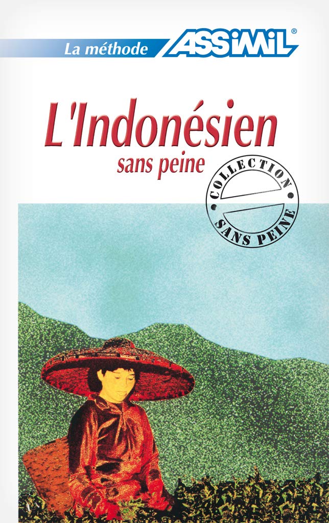L'Indonésien sans Peine ; Livre book