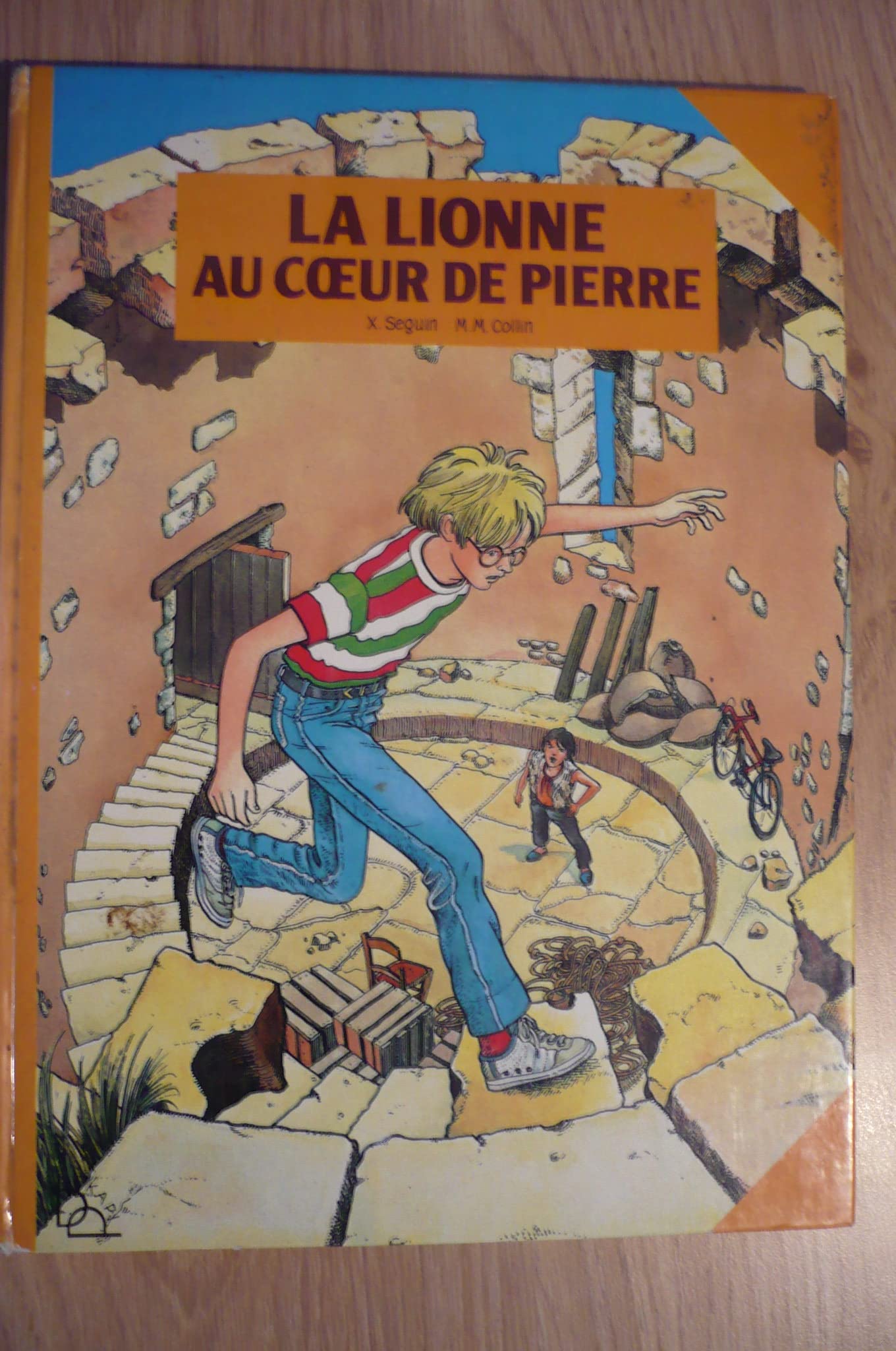 La Lionne au coeur de pierre book