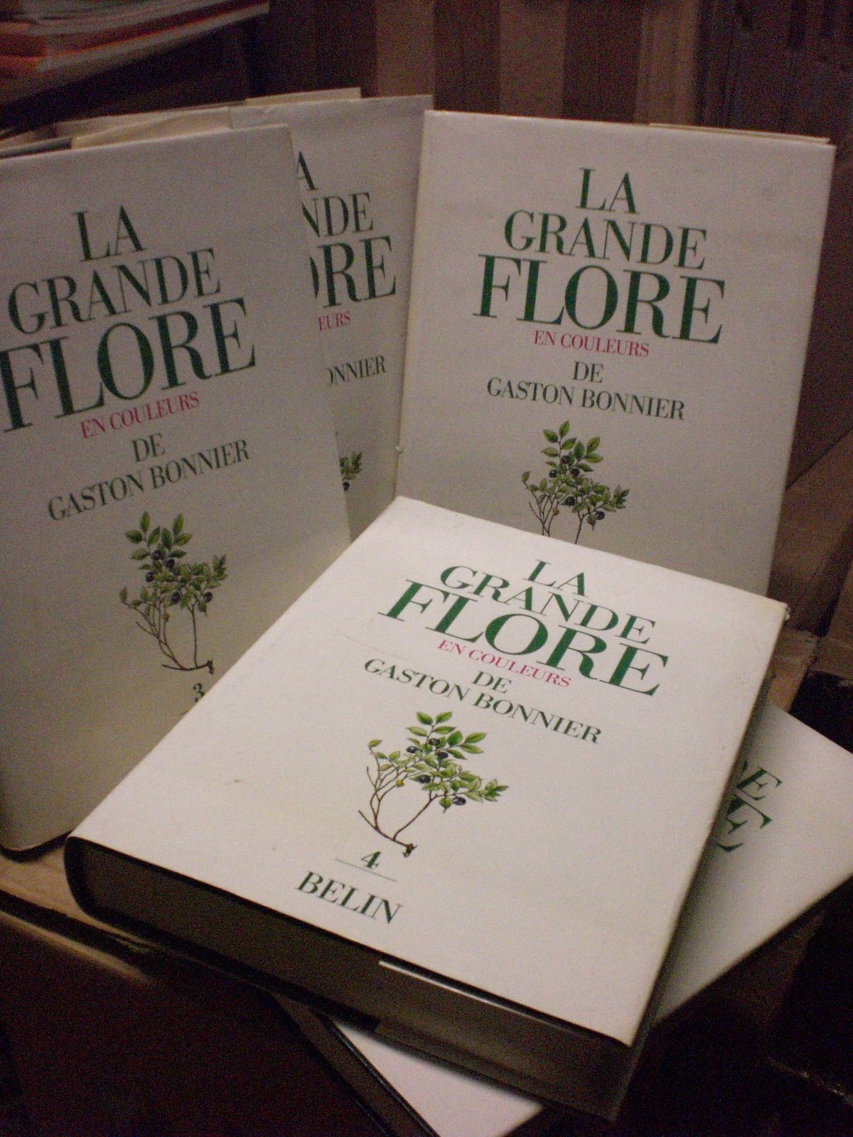La grande flore en couleurs de Gaston Bonnier : France, Suisse, Belgique et pays voisins Books