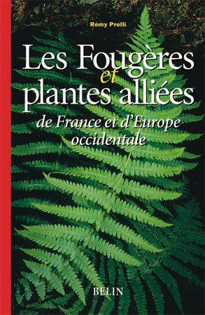 Les fougères et plantes alliées de France et d'Europe occidentale Film, Art & Culture
