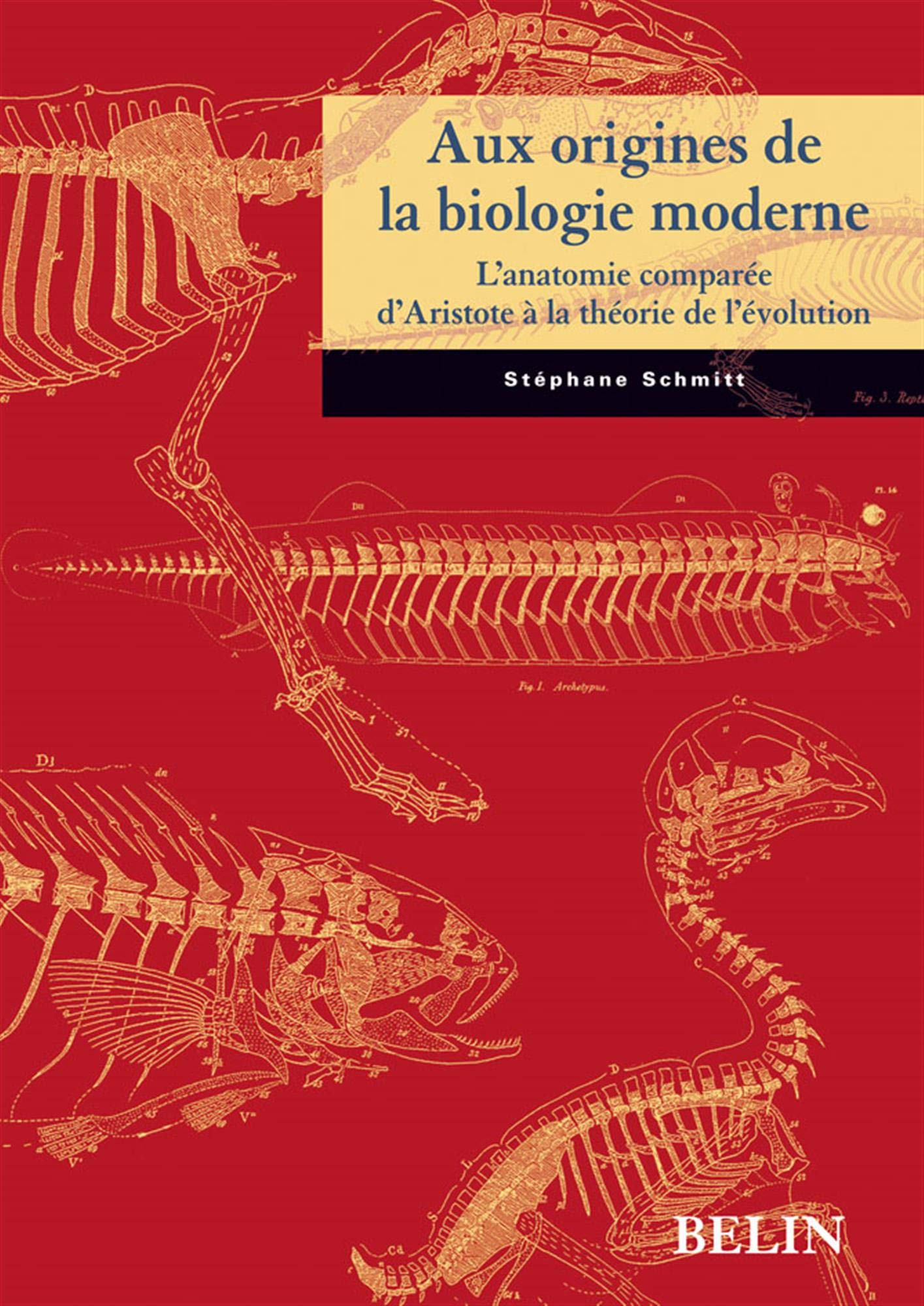 Aux origines de la biologie moderne: L'anatomie comparée d'Aristote à la théorie de l'évolution book