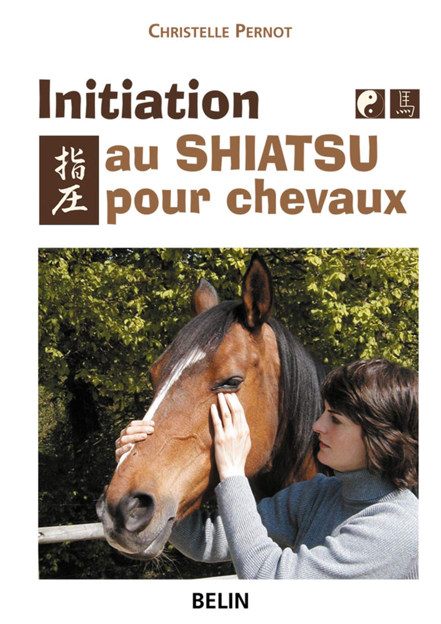 Initiation au Shiatsu pour chevaux : Le pouvoir du toucher Leisure & Fun