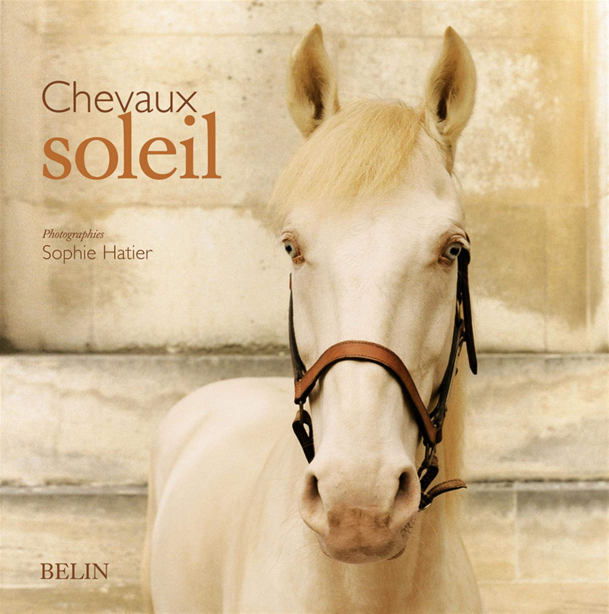Chevaux Soleil: 19 portraits de Lusitaniens cremelos book