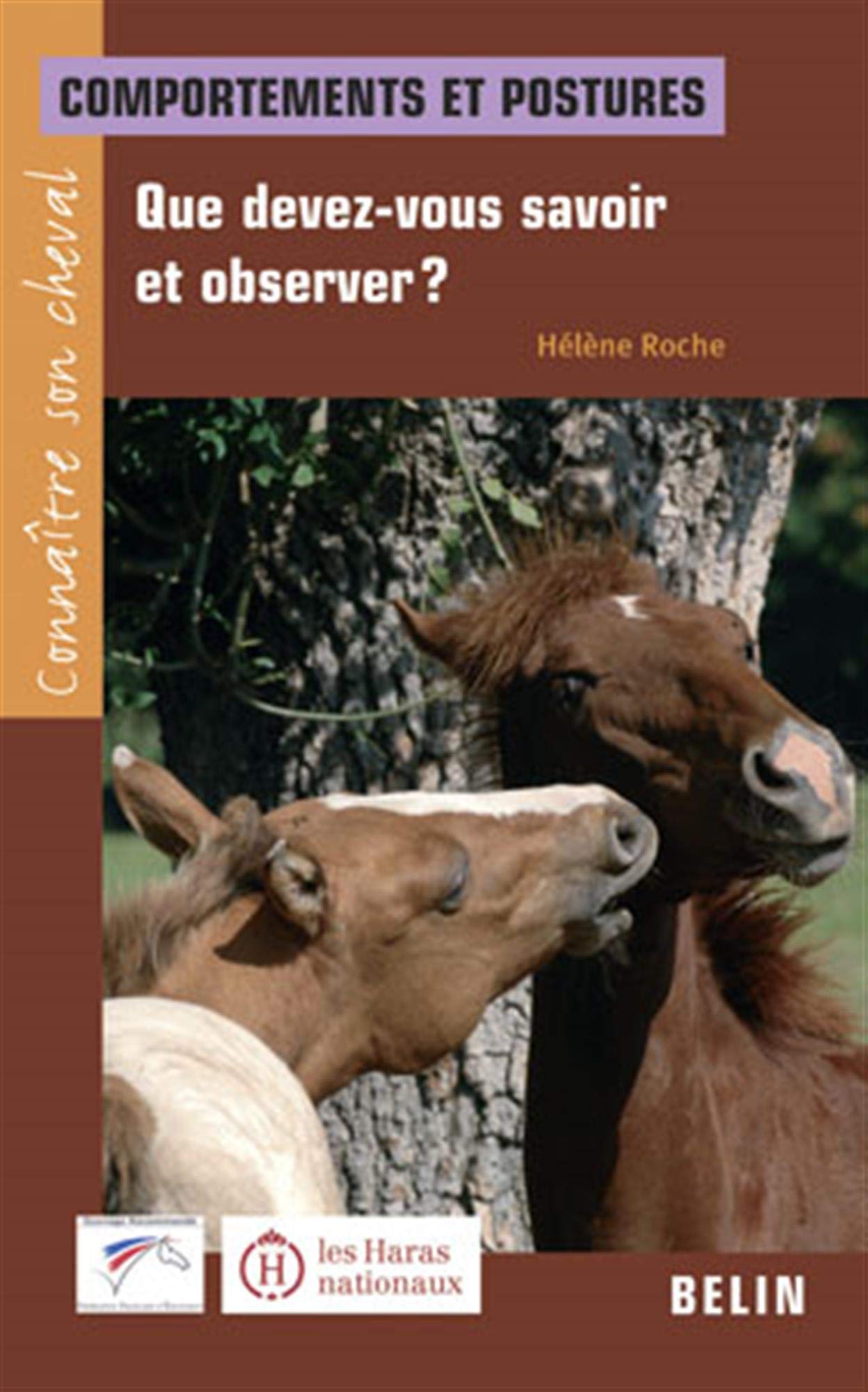 Que devez-vous savoir et observer ?: Comportements et postures Leisure & Fun
