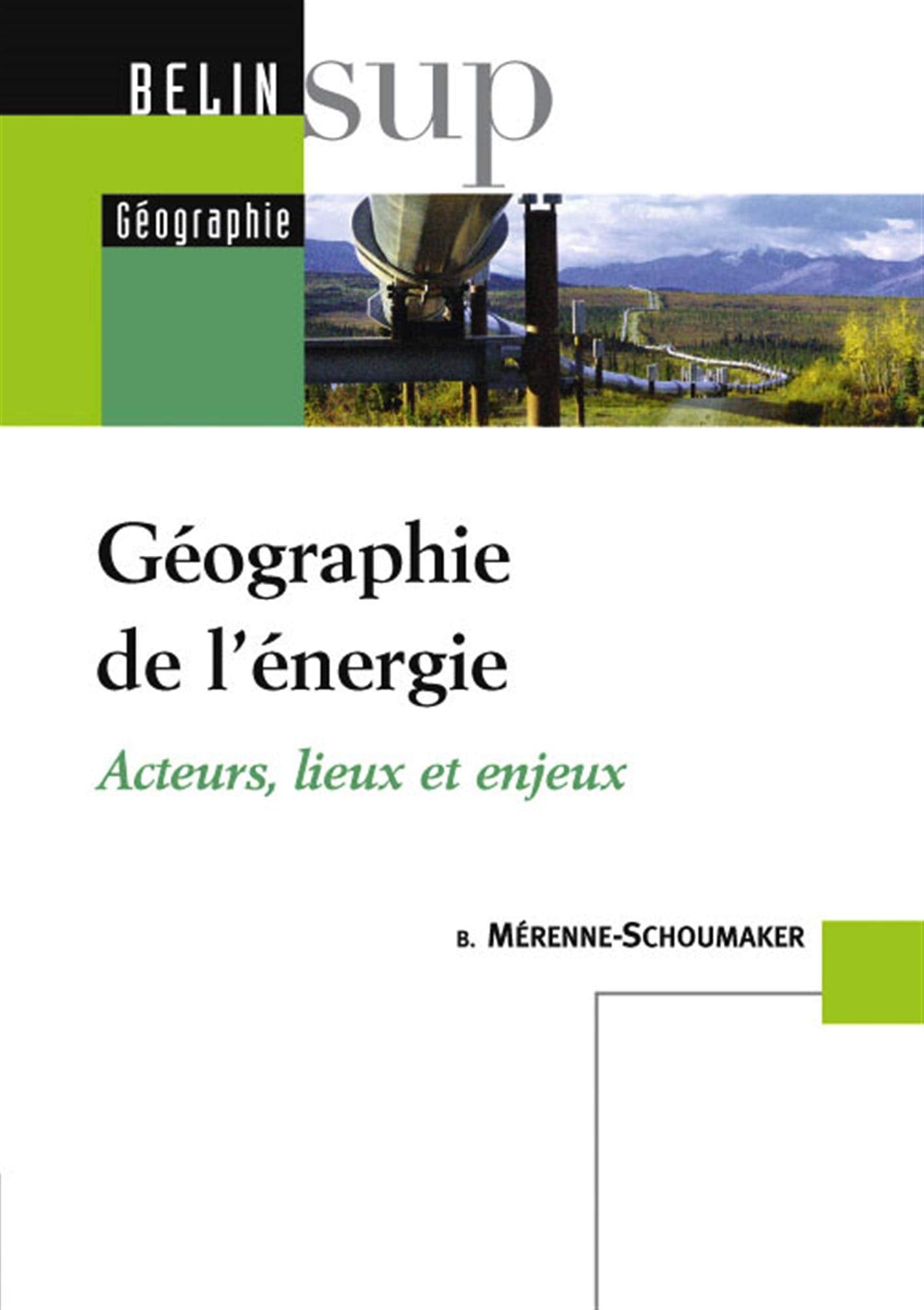 Géographie de l'énergie: Acteurs, lieux et enjeux Books