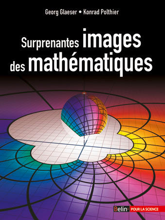 Surprenantes images des mathématiques book