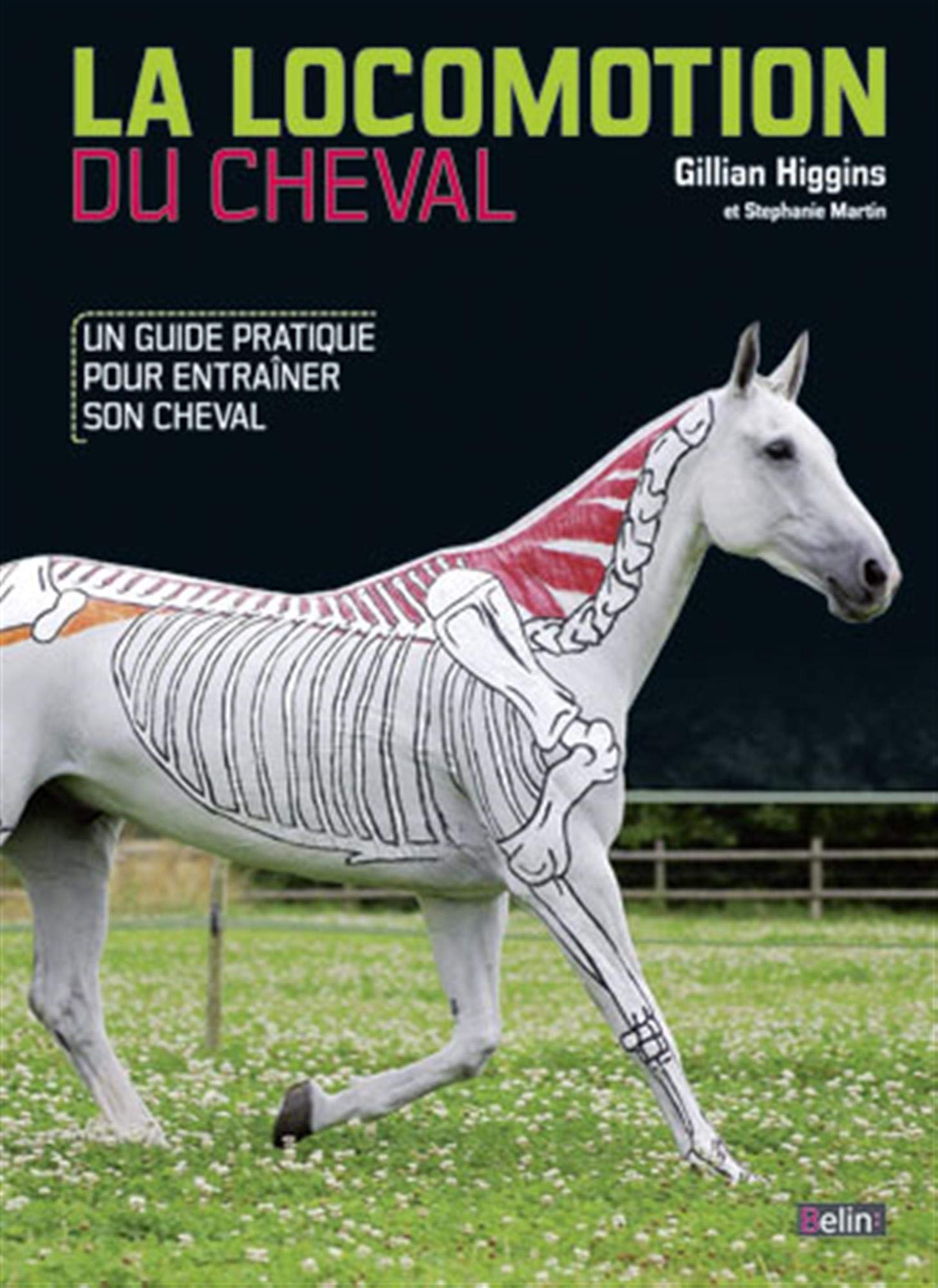 La locomotion du cheval: Un guide pratique pour entraîner son cheval Leisure & Fun