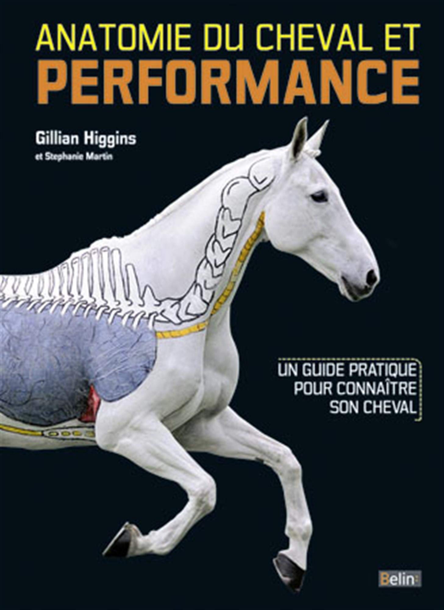 Anatomie du cheval et performance: Un guide pratique pour entraîner son cheval Leisure & Fun