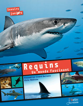 Requins, un monde fascinant book