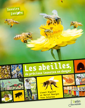 Les abeilles, de précieux insectes en danger book