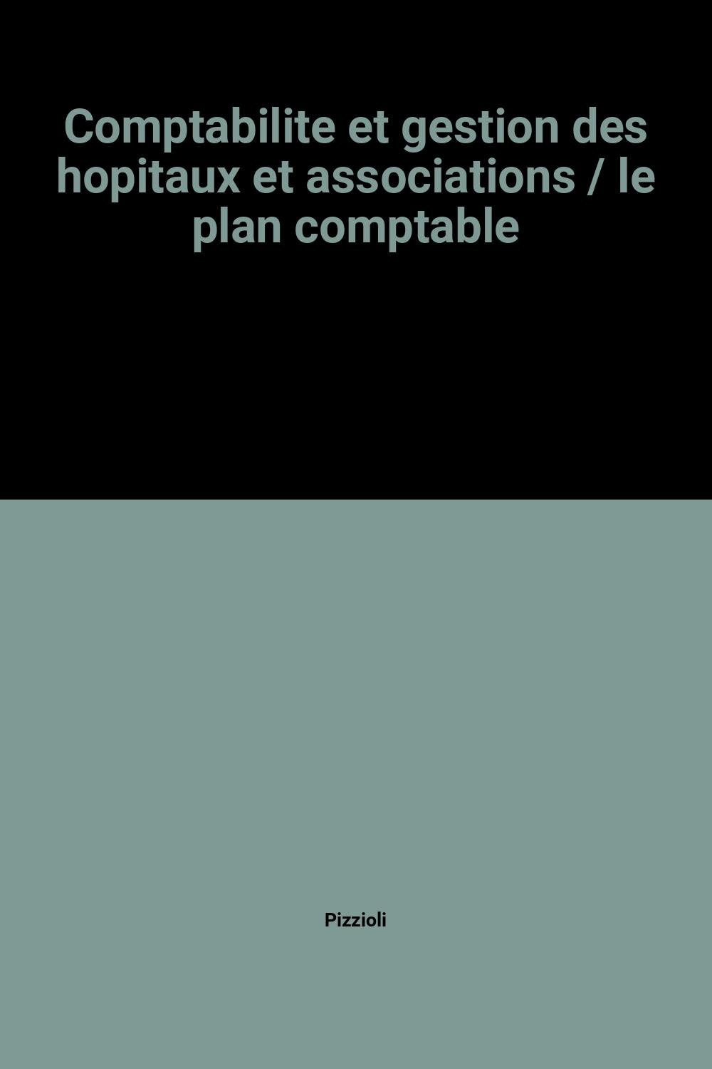 Comptabilité et gestion des hôpitaux et associations. Vol. 2-1. Le Plan comptable Books