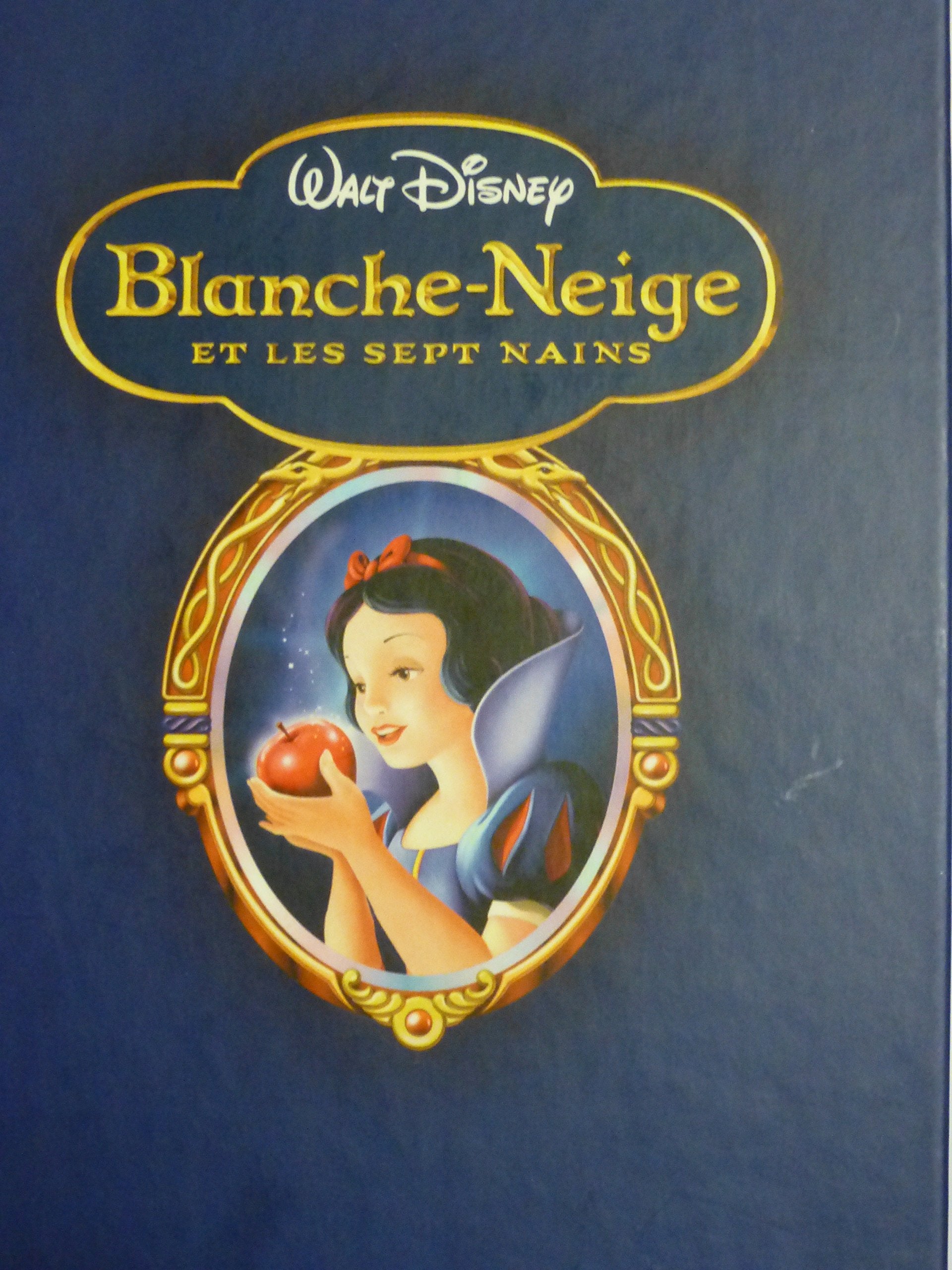 Blanche-Neige et les 7 nains book