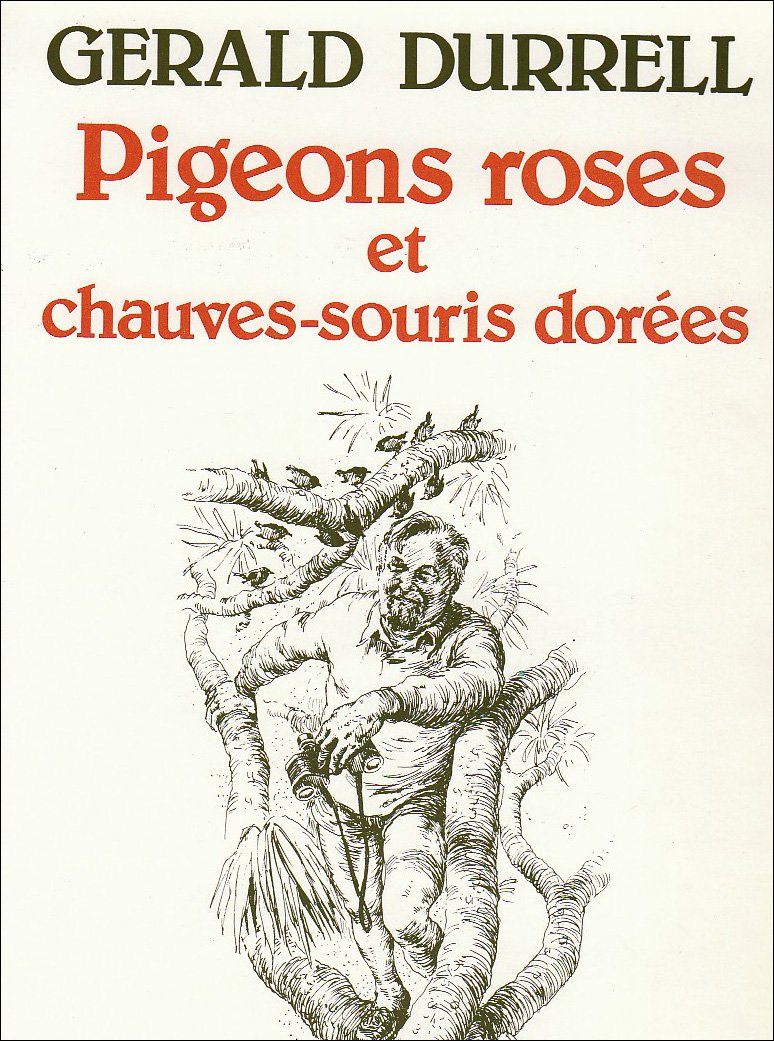 Pigeons roses et chauve-souris dorées Contemporary literature