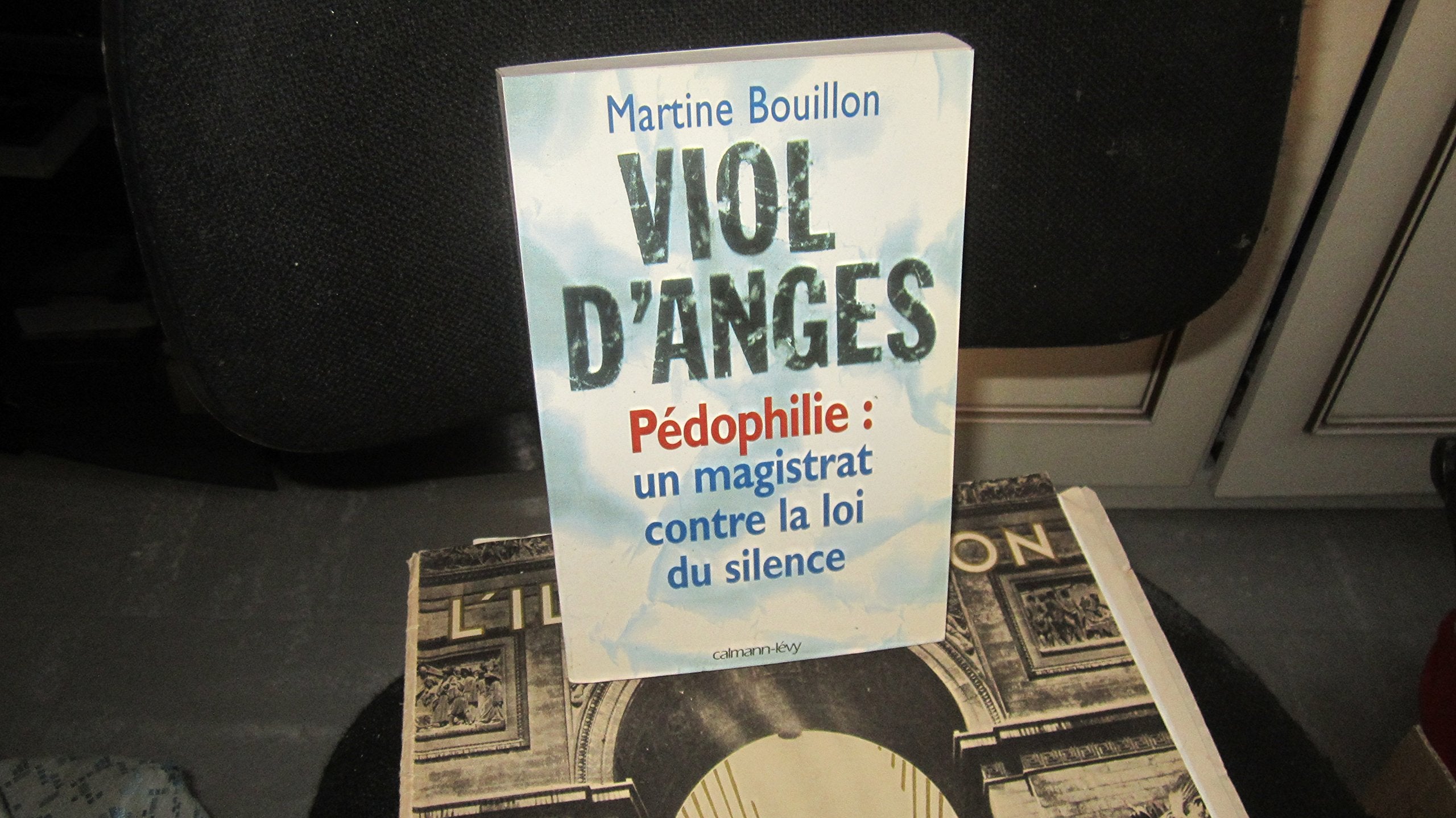 Viol D'Anges Pedophilie. Un Magistrat Contre La Loi Du Silence. book