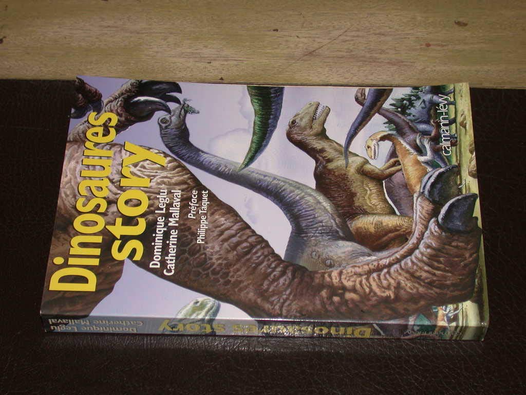 Dinosaures Story. Edition En Francais book