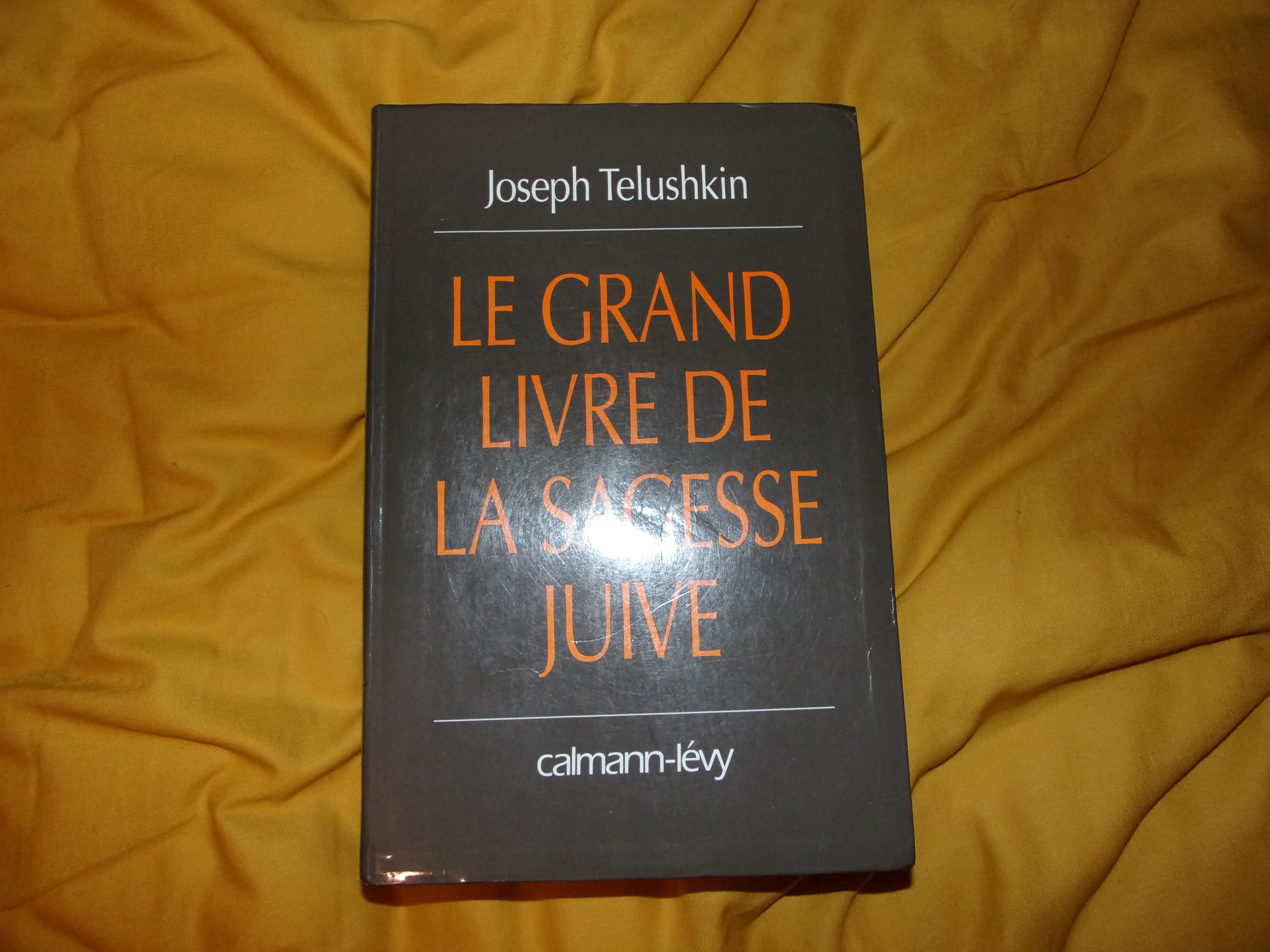 Le grand livre de la sagesse juive book