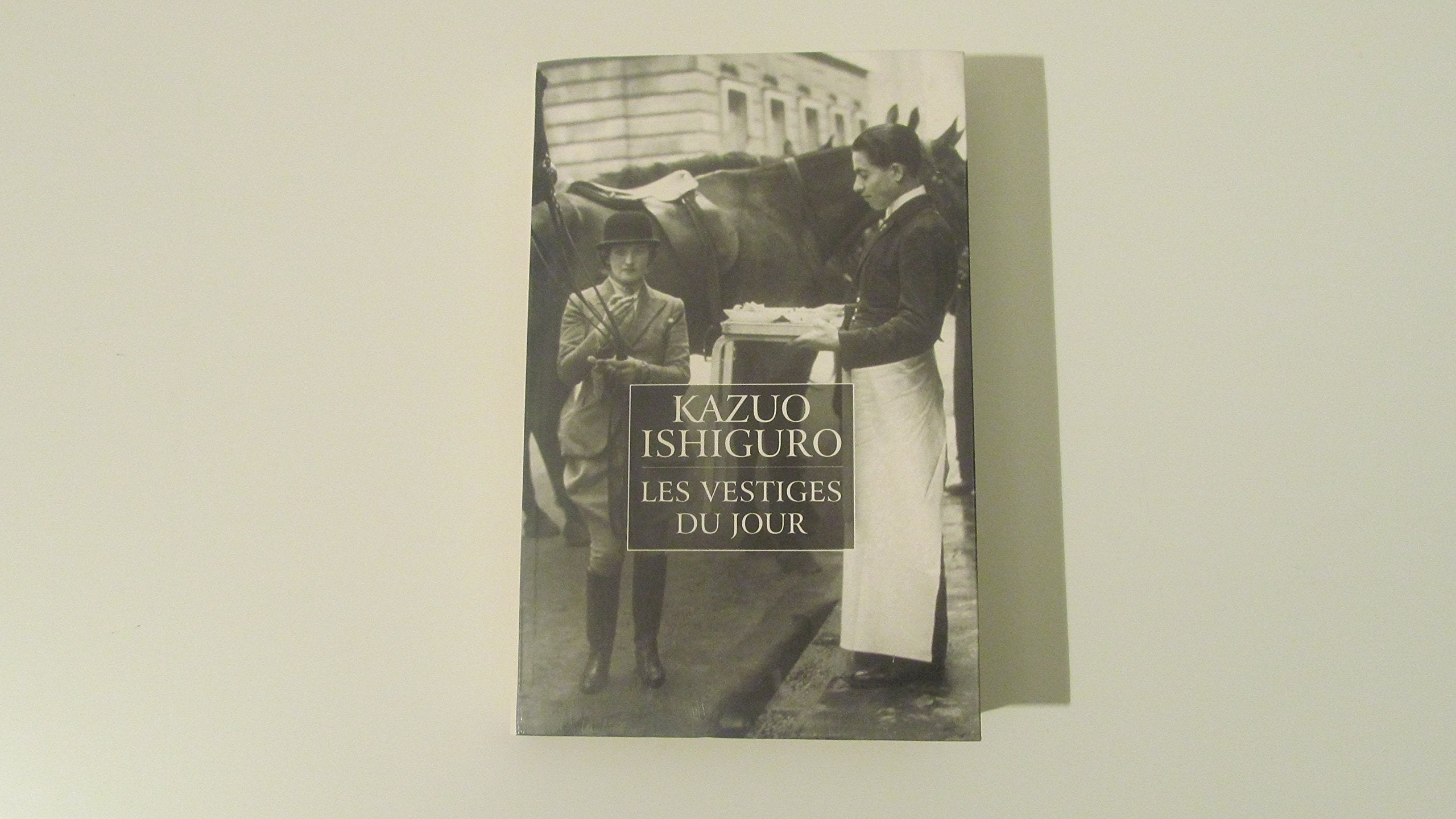 Les vestiges du jour Books