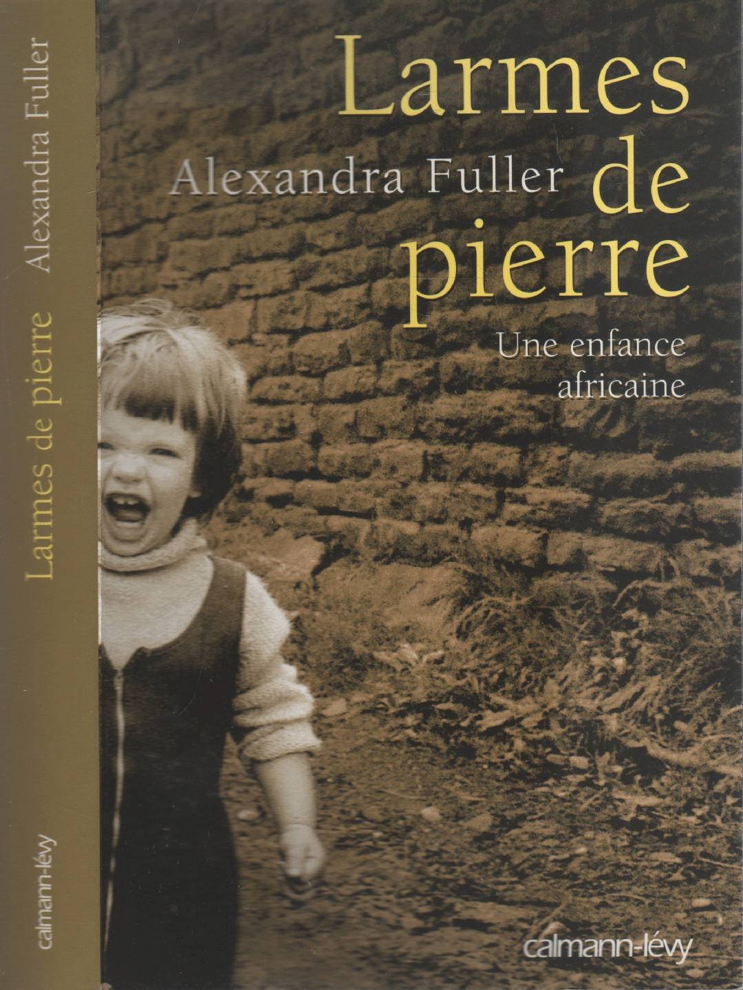 Larmes de pierre : Une enfance africaine Books