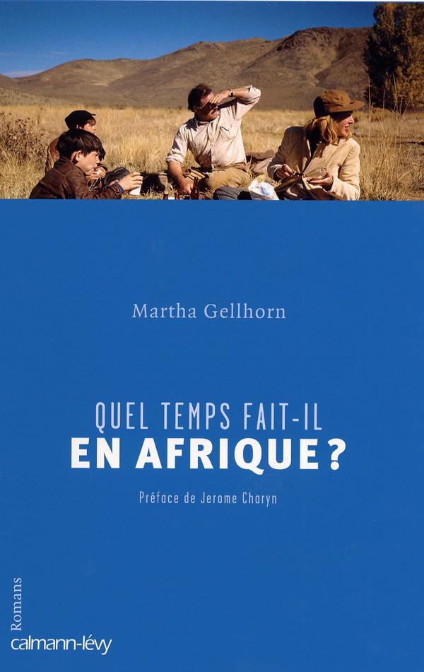 Quel temps fait-il en Afrique ? Contemporary literature