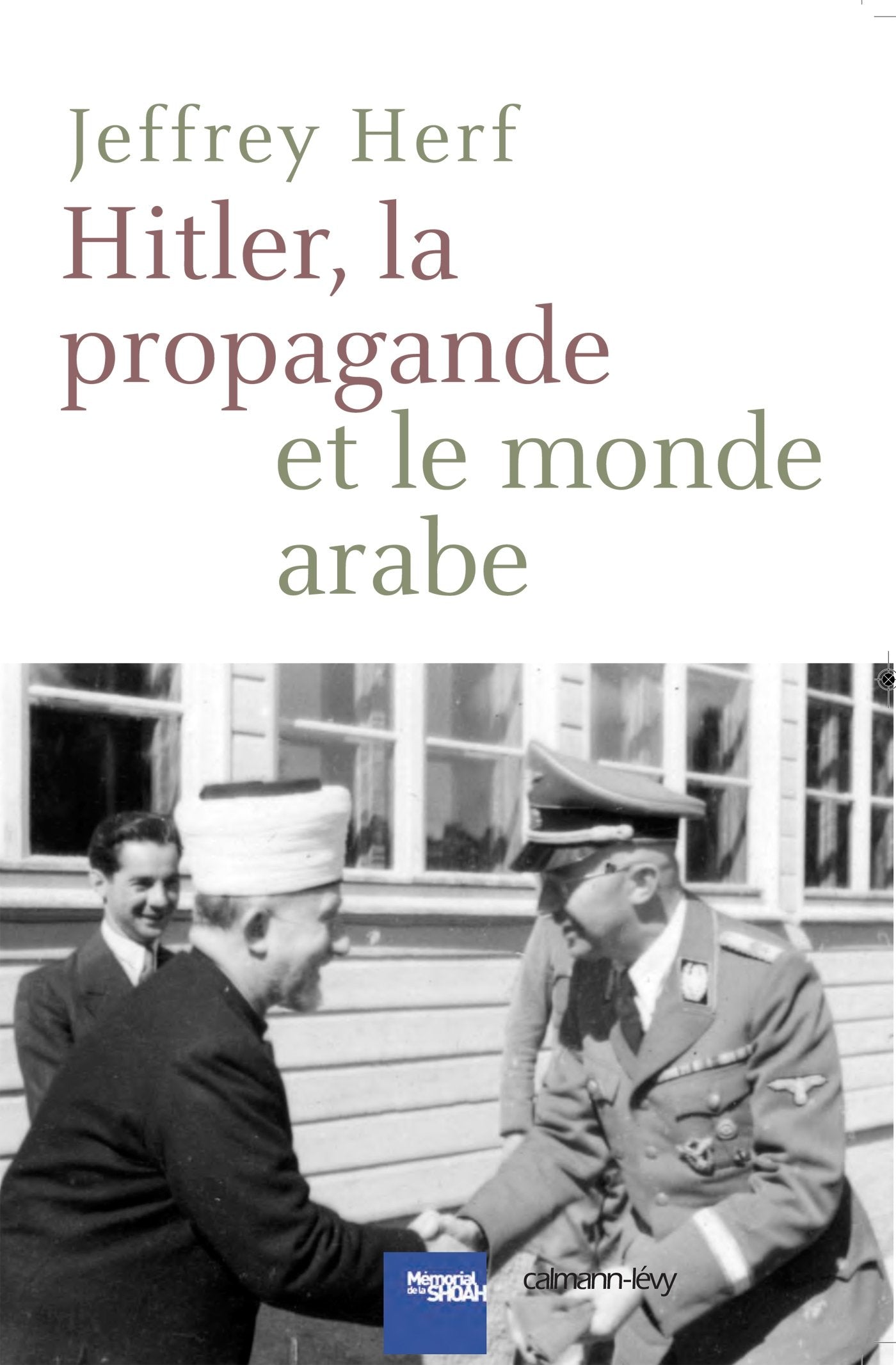 HITLER LA PROPAGANDE ET LE MONDE ARABE book