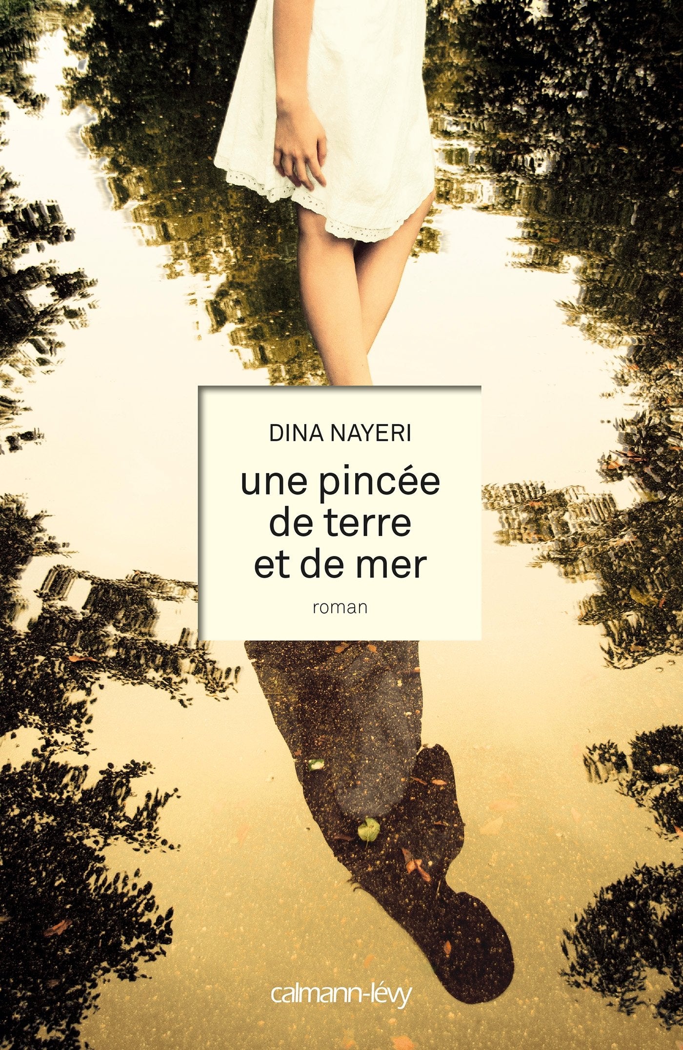 Une pincée de terre et de mer Contemporary literature
