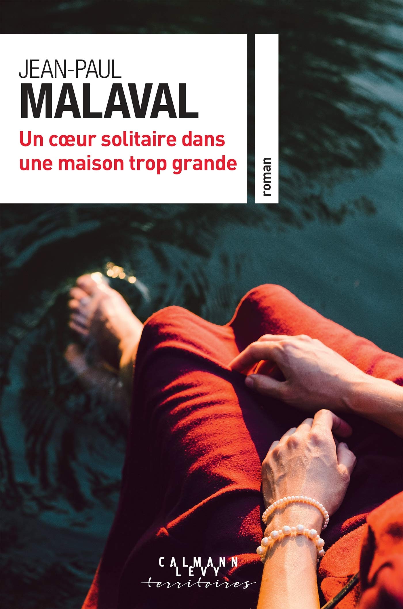 Un coeur solitaire dans une maison trop grande book