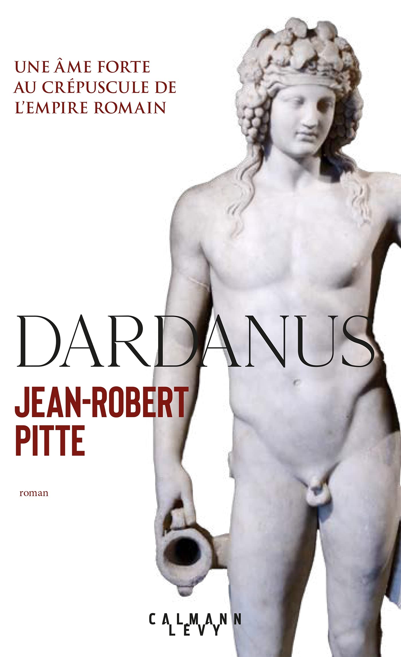 Dardanus: Une âme forte au crépuscule de l'Empire romain book