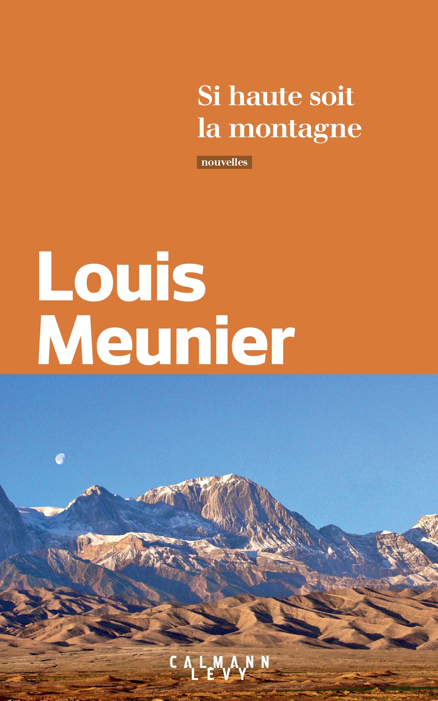 Si haute soit la montagne Contemporary literature