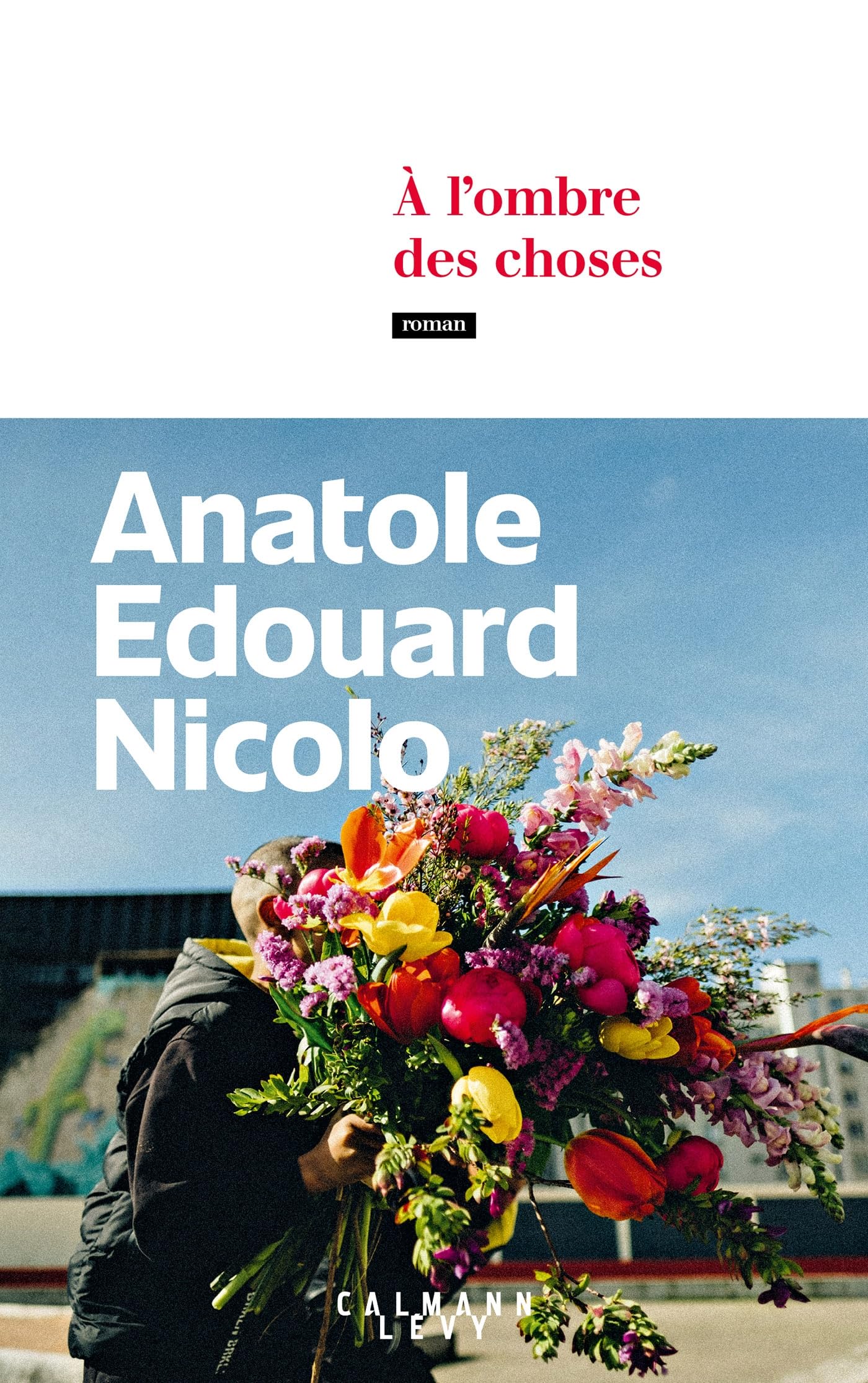 À l'ombre des choses Contemporary literature